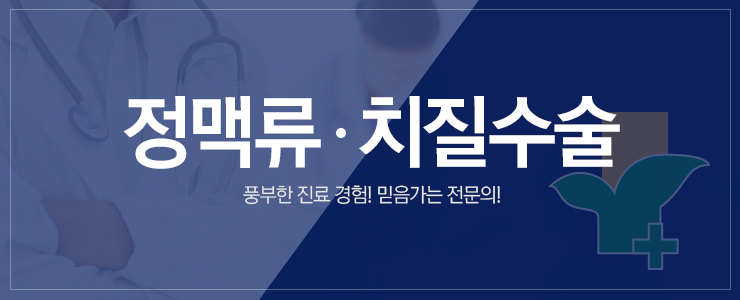 정맥류 치질